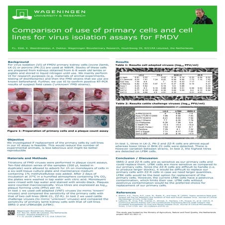 COMPARISON OF USE OF PRIMARY CELLS AND CELL LINES FOR VIRUS ISOLATION ASSAYS ...