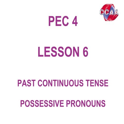 Pec4 lesson6 past continuous possessive pronouns