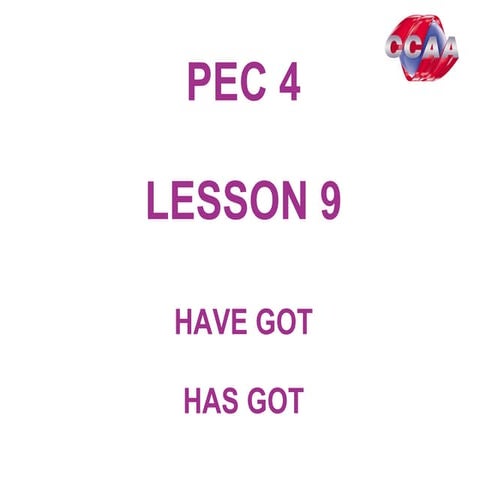Pec4 lesson9 have got has got
