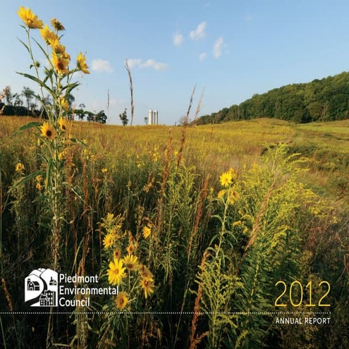 PEC Annual Report 2012