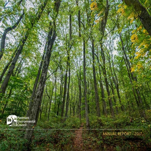 PEC Annual Report (2017)