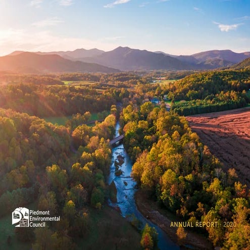 PEC Annual Report 2020