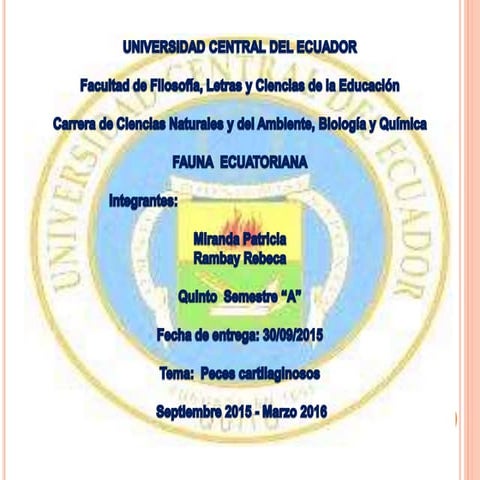 Peces cartilaginosos