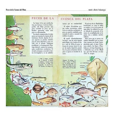 Peces de la Cuenca del Plata