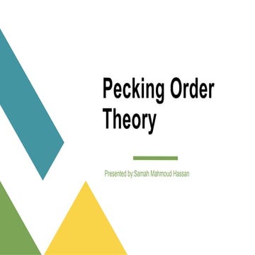 Pecking Order Theory.pptx