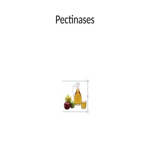Pectinase Substrate, Production and their Biotechnological Applications ...