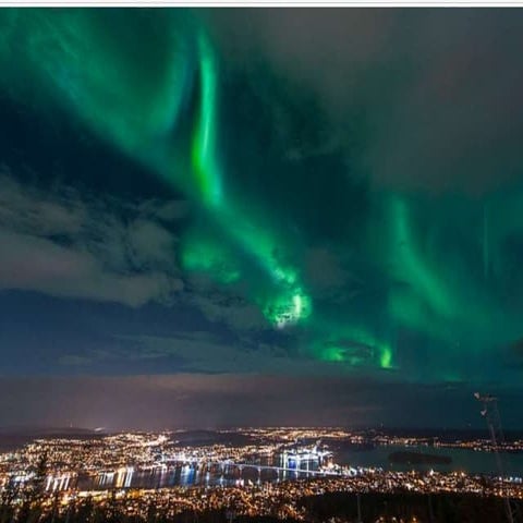 Pedagogiska appar i förskolan
