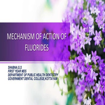 MECHANISM OF ACTION OF FLUORIDE