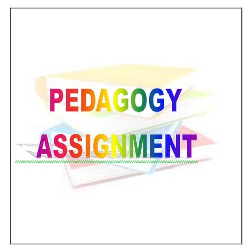 Pedagogy assignment