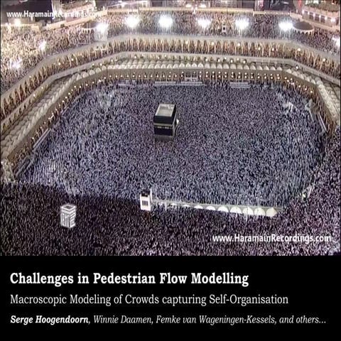 Pedestrian modelling