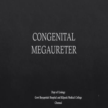 Pediatric urology:Congenital megaureter