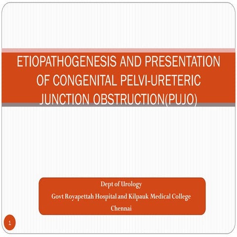 Pediatric urology:Pujo- etiopathogenesis and presentation