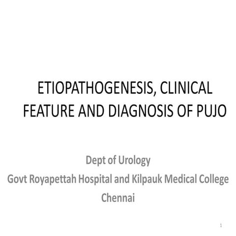 Pediatric urology  pujo- pathology