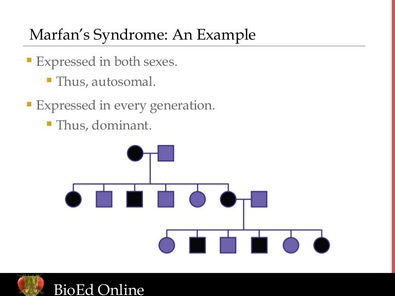 pedigree examples genotype example