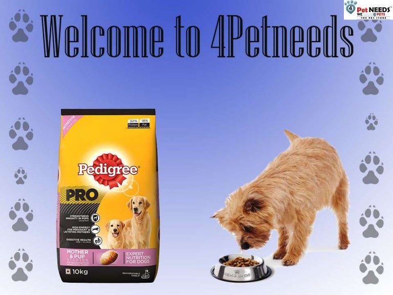 pedigree food online