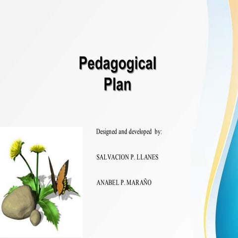 Levels of Classification Pedagogical Plan
