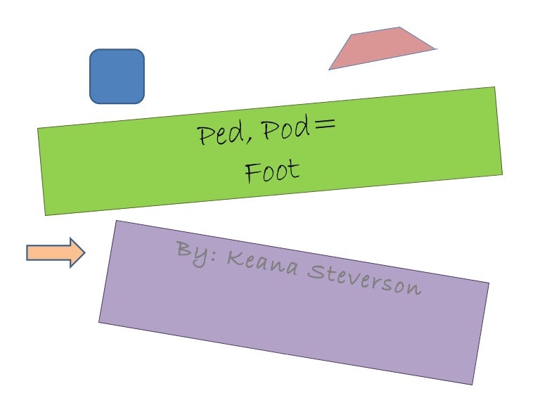 Ped Pod Prefix – Les préfixes péd-, pédi-, pod- et podo- – KVQSW
