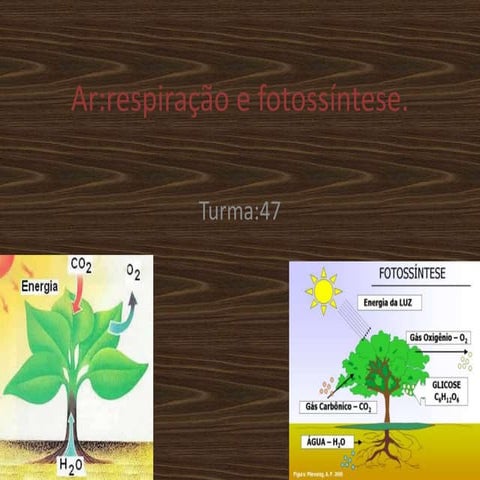 Pedro C. e Guilherme l.