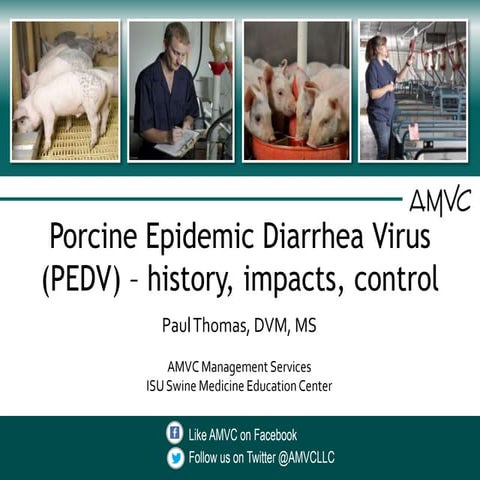 Porcine Epidemic Diarrhea Virus (PEDv)