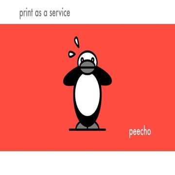 Peecho at TheNextWeb 2010