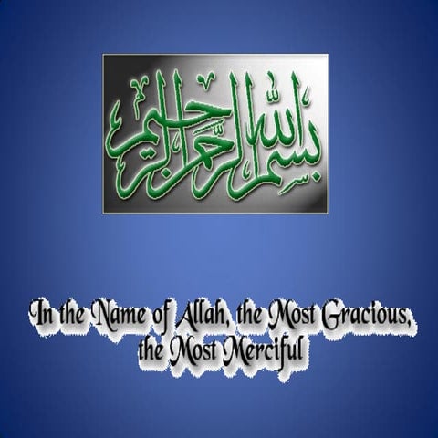 PEEDA _  IN DETAIL .pdf