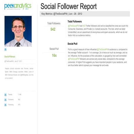 PeekAnalytics Social Audience Report for @thesocialpitt