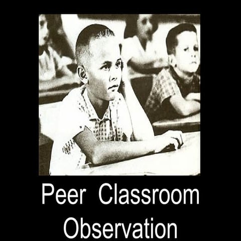 Peer Observation at FHC