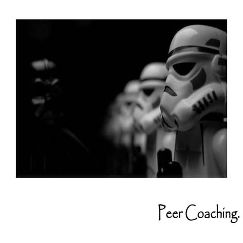 Peercoachingpk