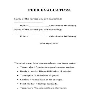 Peer evaluation (a fashion designer)