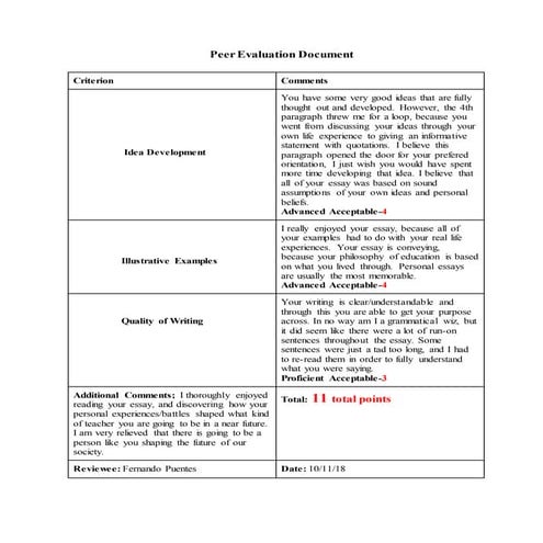 Peer evaluation document judith pena