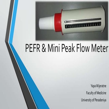 PEFR & mini peak flow meter
