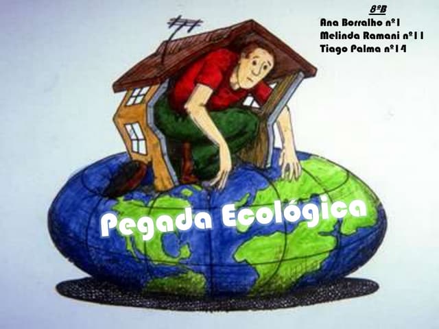 Pegada ecológica