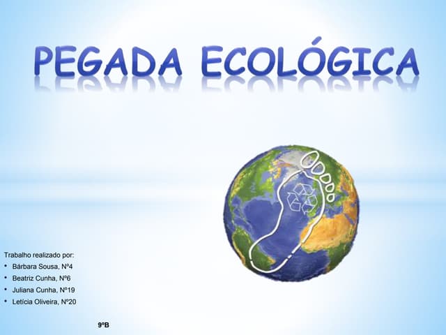 Pegada ecológica