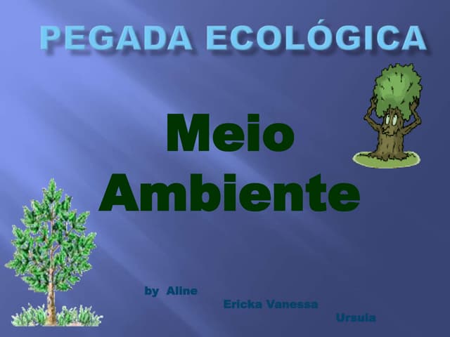 Pegada ecológica