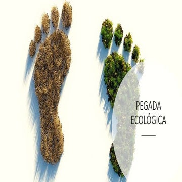 Pegada Ecológica.pptx