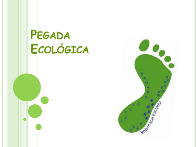 Pegada ecológica final
