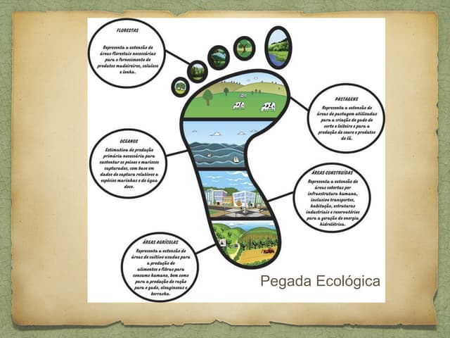 Pegada ecológica
