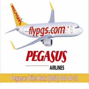 Pegasus Bilet Hattı Telefon