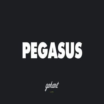 Pegasus
