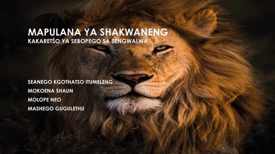 Magato a thulaganyo ka botlalo le mehlala | PPT