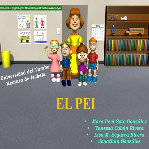 Programa Educativo Individualizado (PEI)