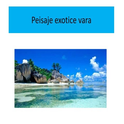 Peisaje De Vara Download Tropics Palm Tree Photography Tropical HD