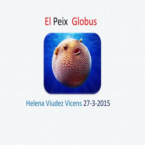 Peix globus  Helena