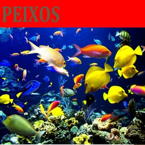 Peixos