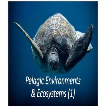 Pelagic Environments and Ecosystems (1)