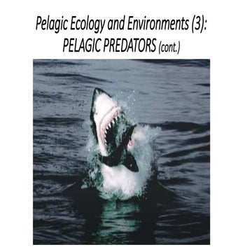 Pelagic Environments and Ecology (3) copy