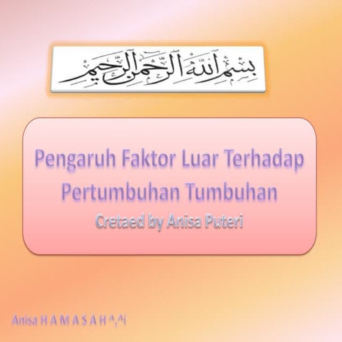Pelaksannan percobaan pengaruh faktor luar terhadap pertumbuhan tumbuhan