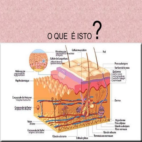 Pele 1228136575990863-8