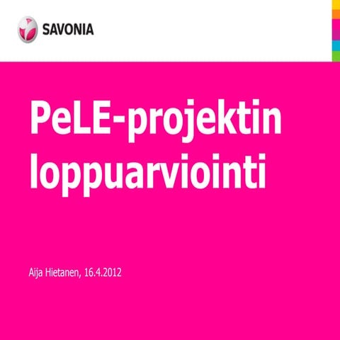 Pe le projektin loppuarviointi