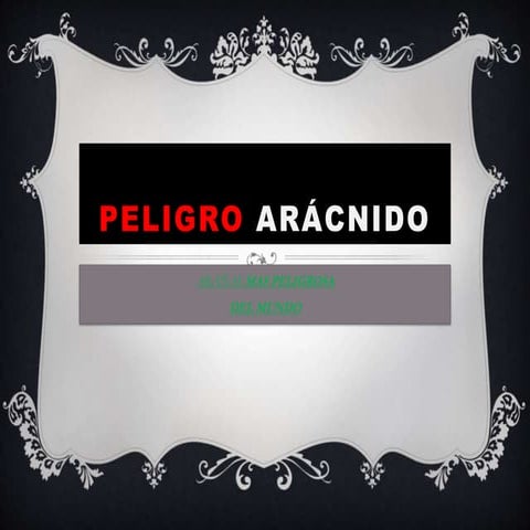 Peligro arácnido